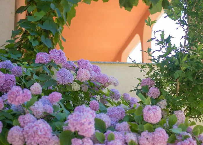 Appartement Irena&dolores *