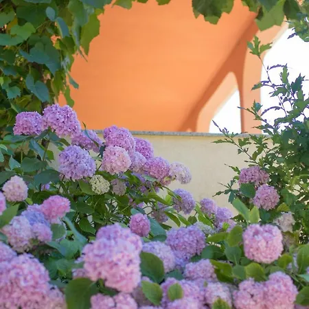 Apartment Irena&dolores *