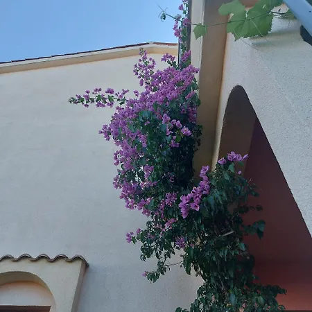 Apartment Irena&dolores *