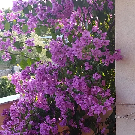 Irena&dolores Apartment Malinska