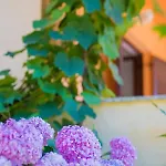 Apartamento Irena&dolores
